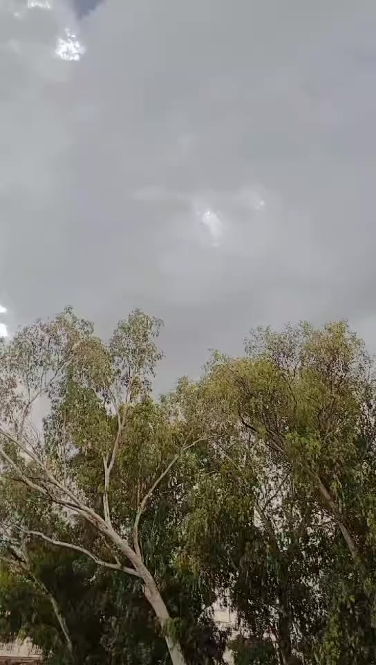 @Raja_zia_1214