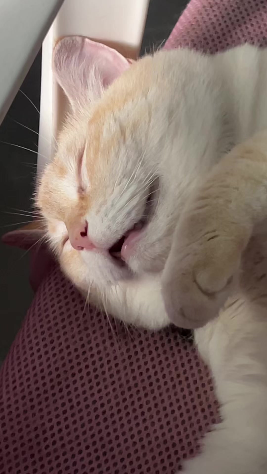 @𝑨𝐍𝐆𝐘