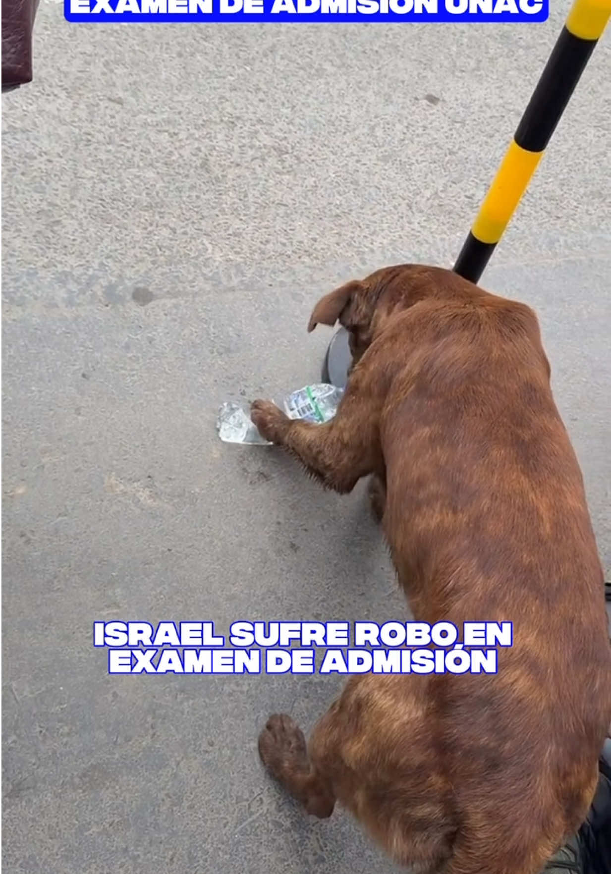 @AULA 20 OFICIAL