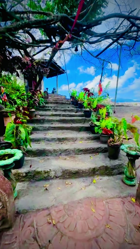 @𝗛 𝗔 𝗡 𝗦 𝗔 [한사카] 👽🍁❤️