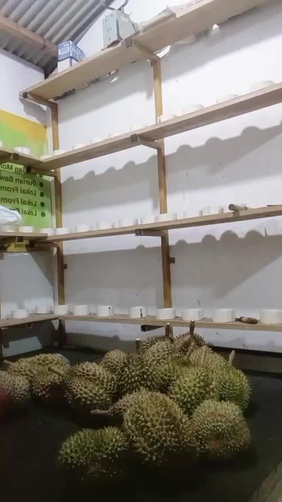 @Store durian simadep