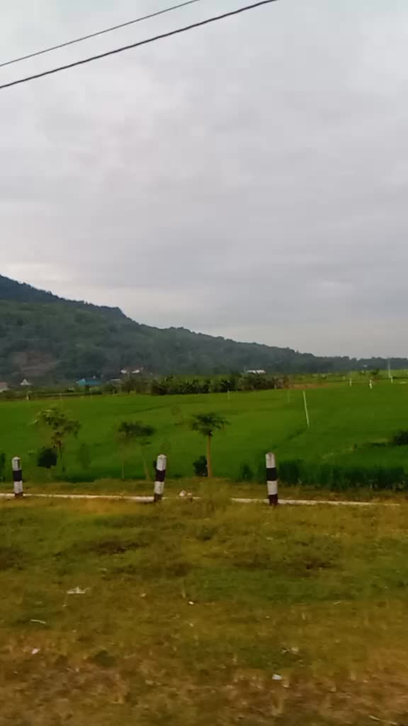 @sudarti851