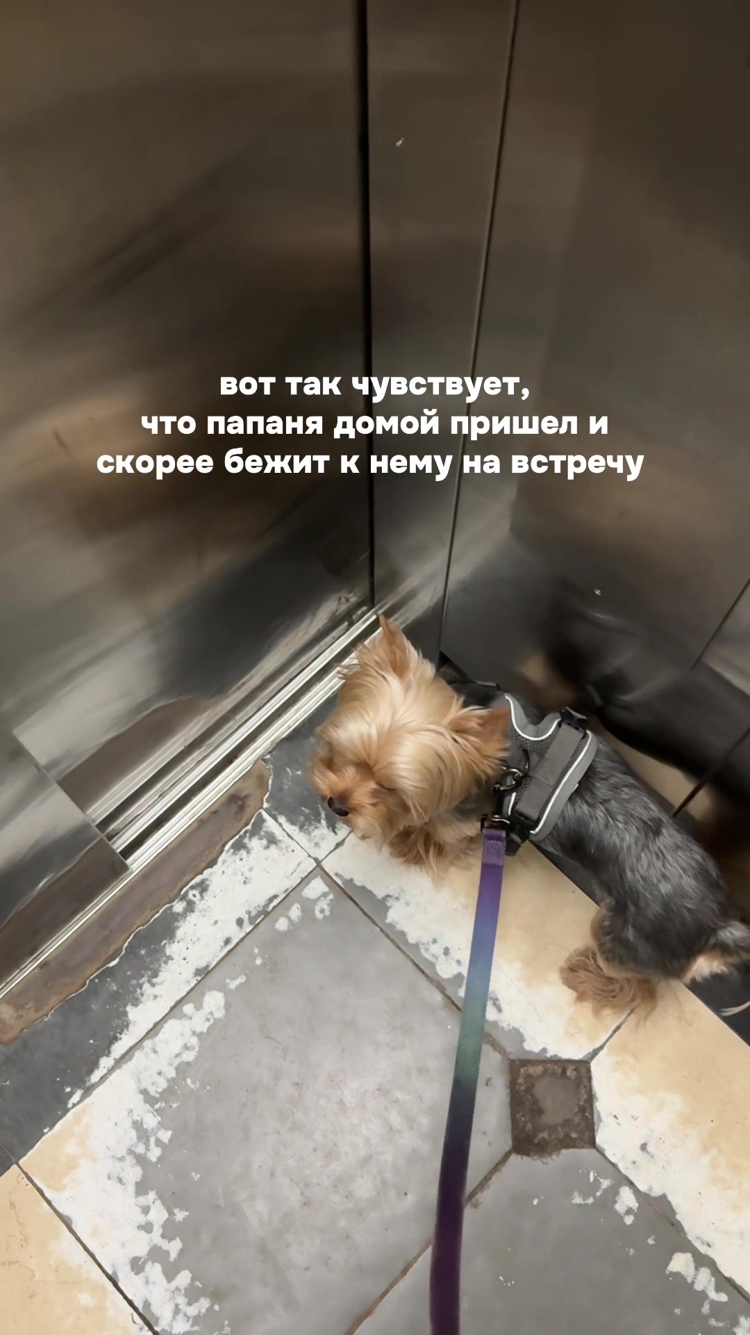@лера и йорк толик