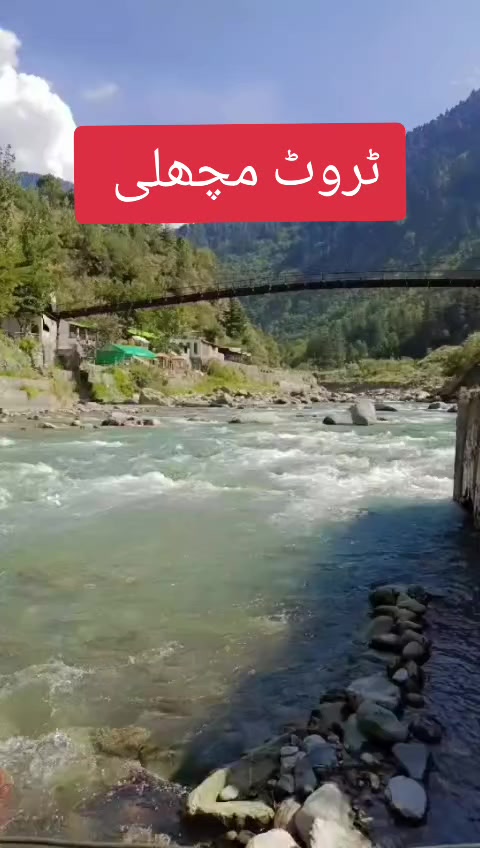 @Gullo Mehar