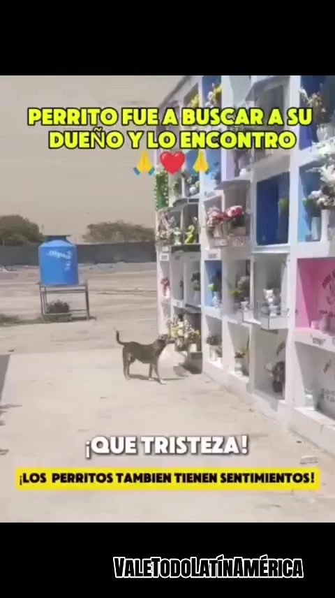 @ValeTodoLatinAm&eacute;rica