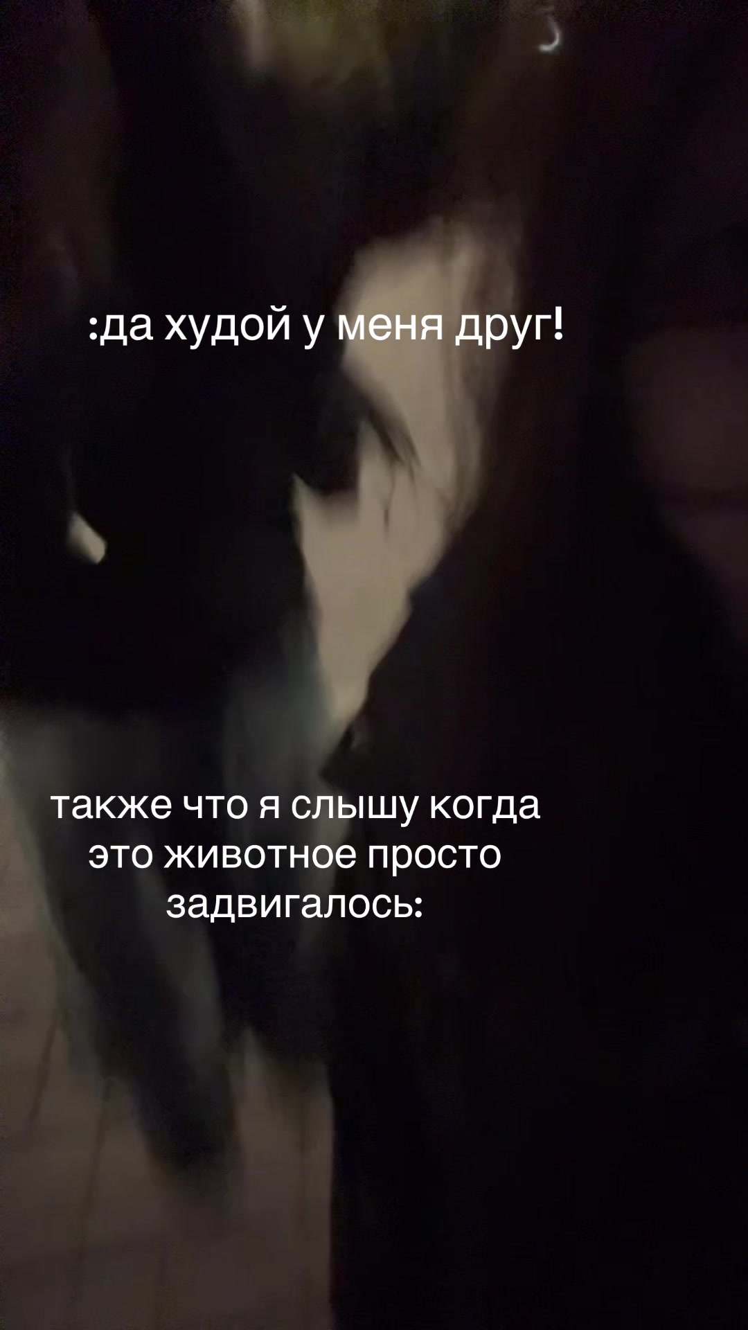 @тгк: шкбк