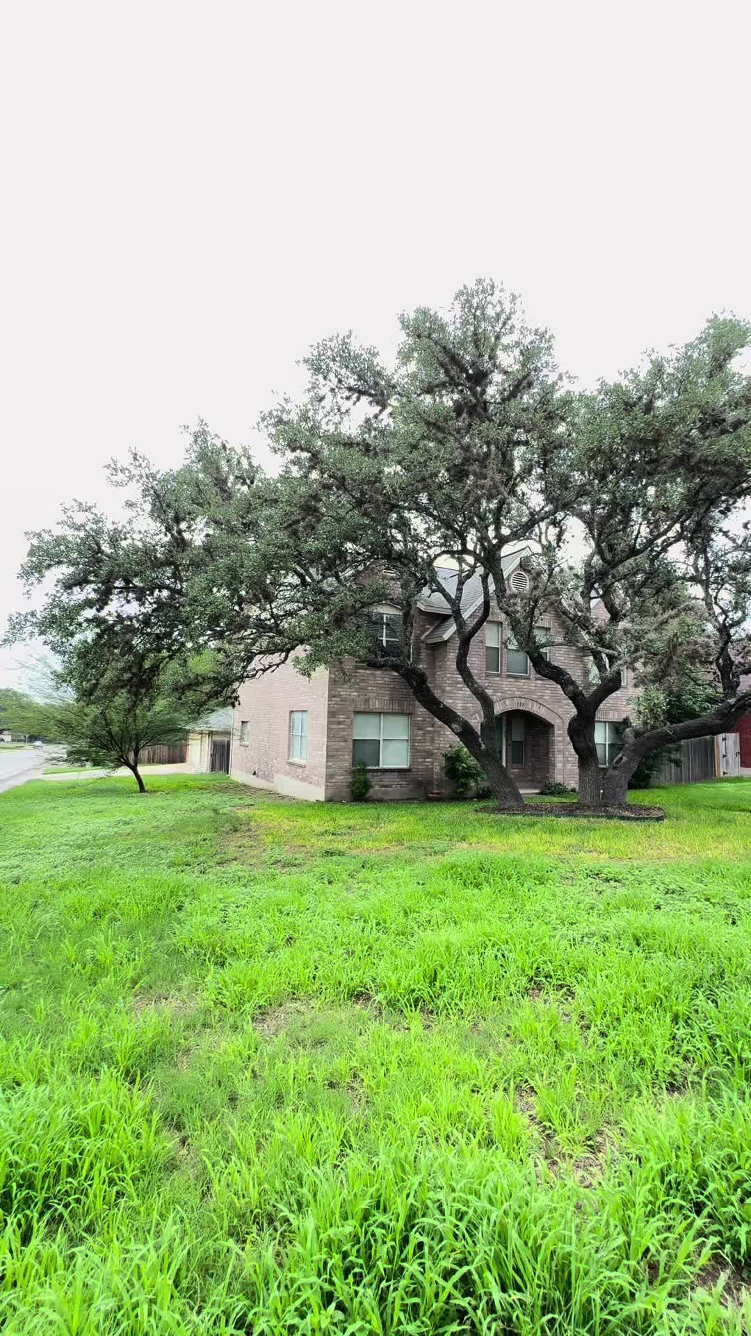 @Mike Alaniz | SATX Realtor