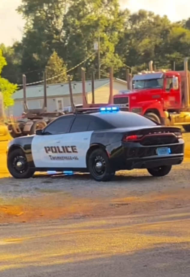 @✯𝗖𝗼𝗱𝗲3𝗖𝗹𝗮𝗿𝗸𝗲County✯