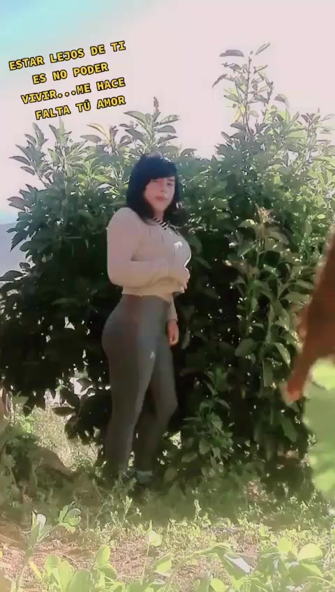 @lishi1999