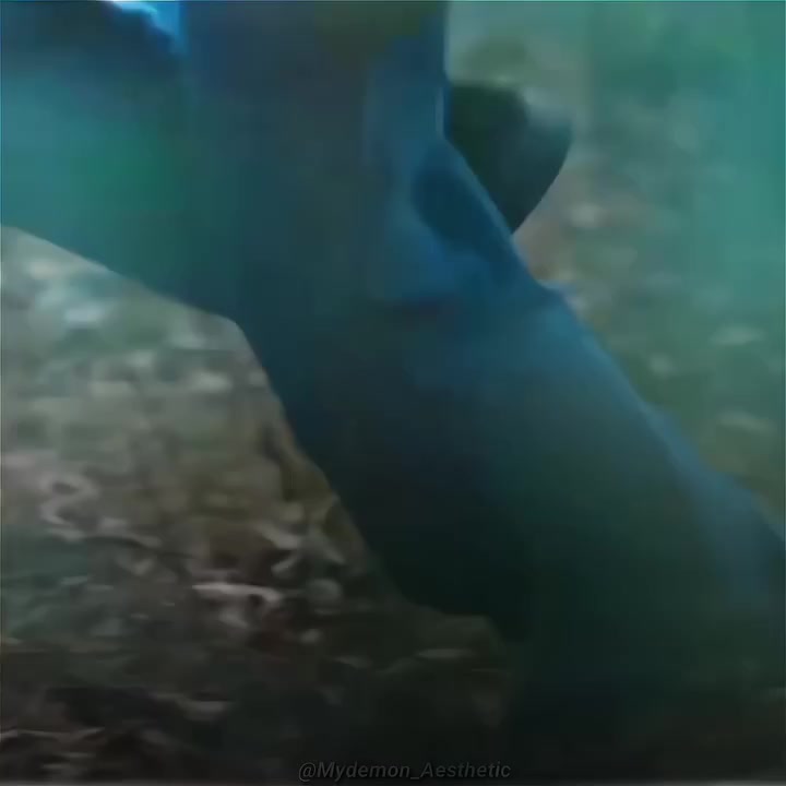 @🎀