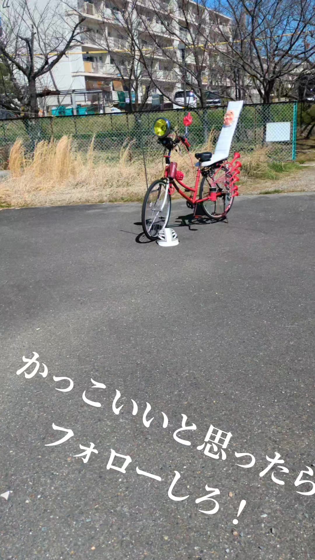 @京都最強は俺じゃ