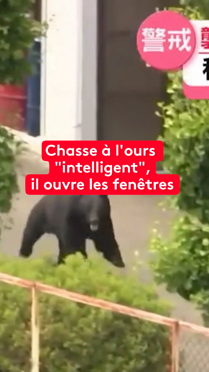 @le20hfrancetelevisions