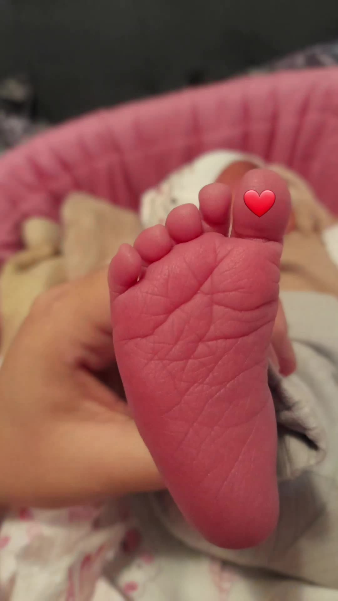 @_anitaa_nitaa