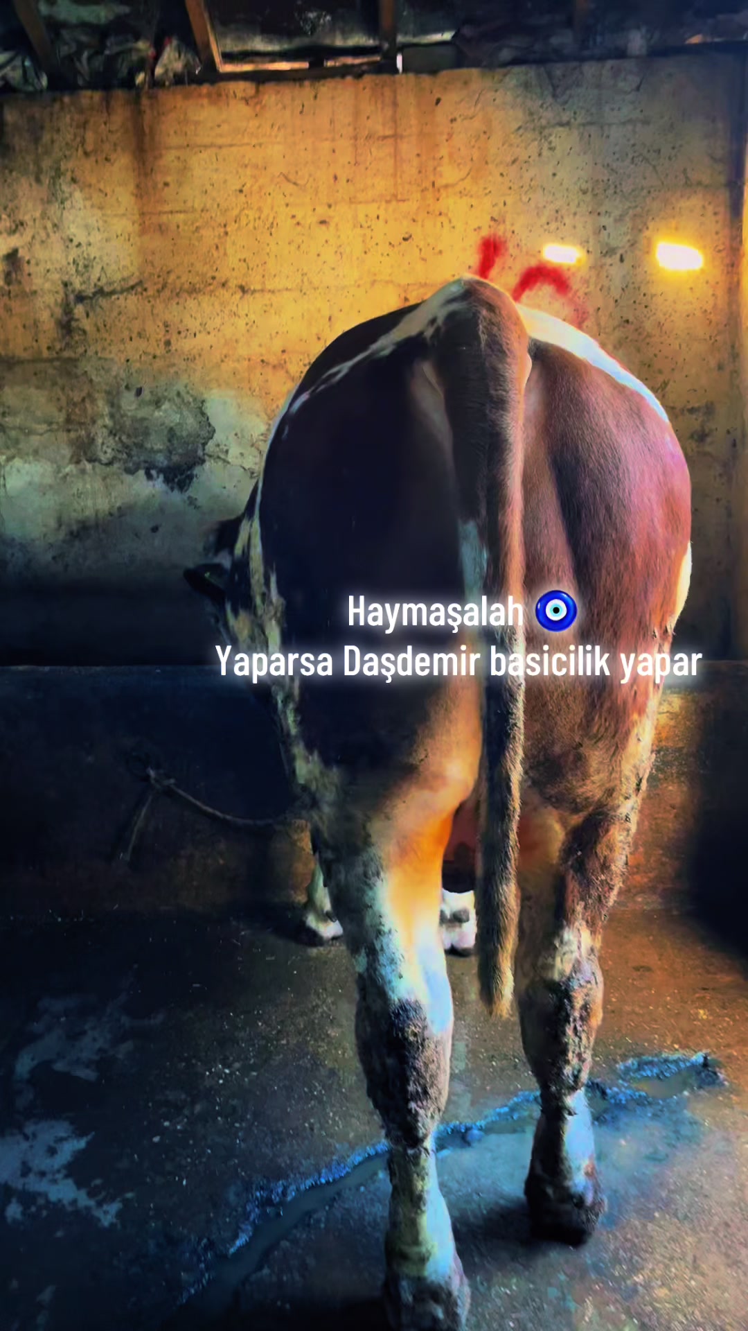 @Adem Dasdemir