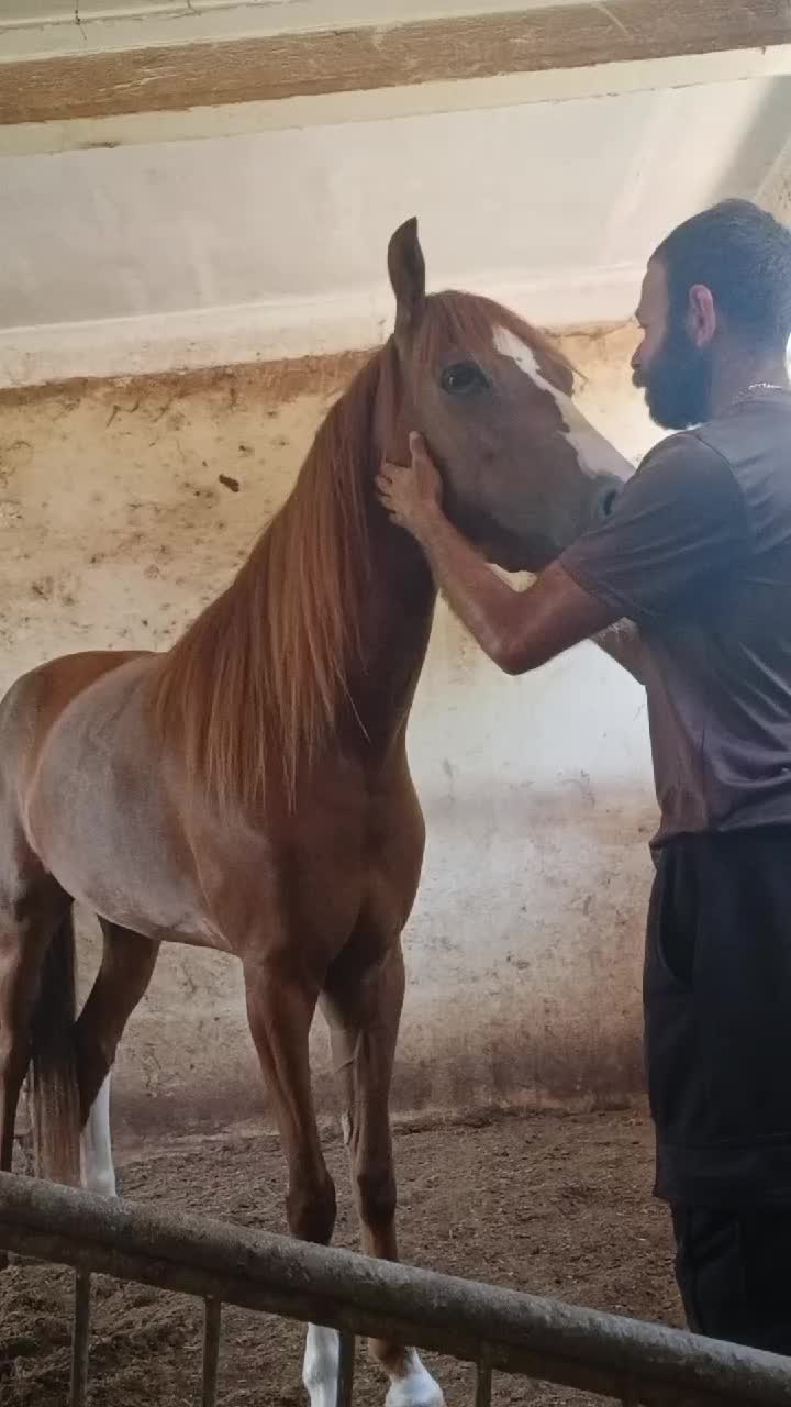 @Hacienda Los Queridos