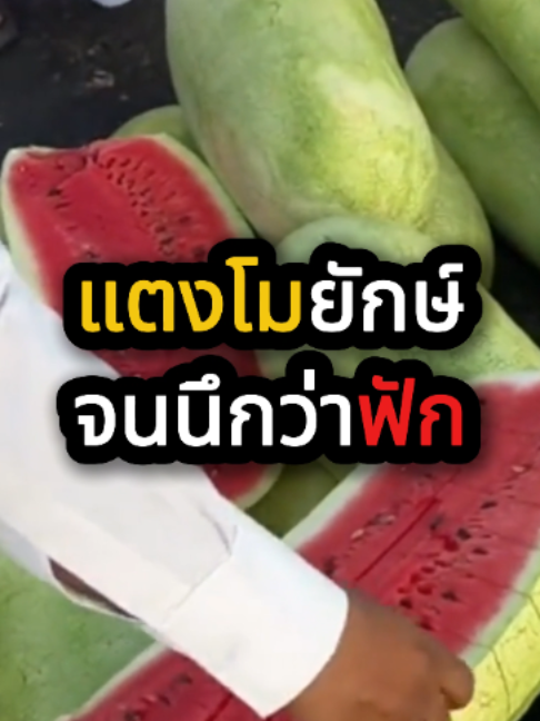 @QuickTech