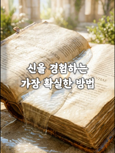 @빛의 씨앗