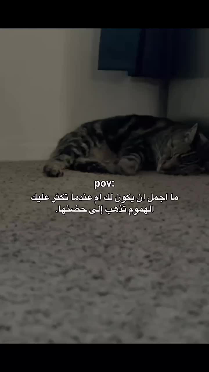 @شاهين شاهين