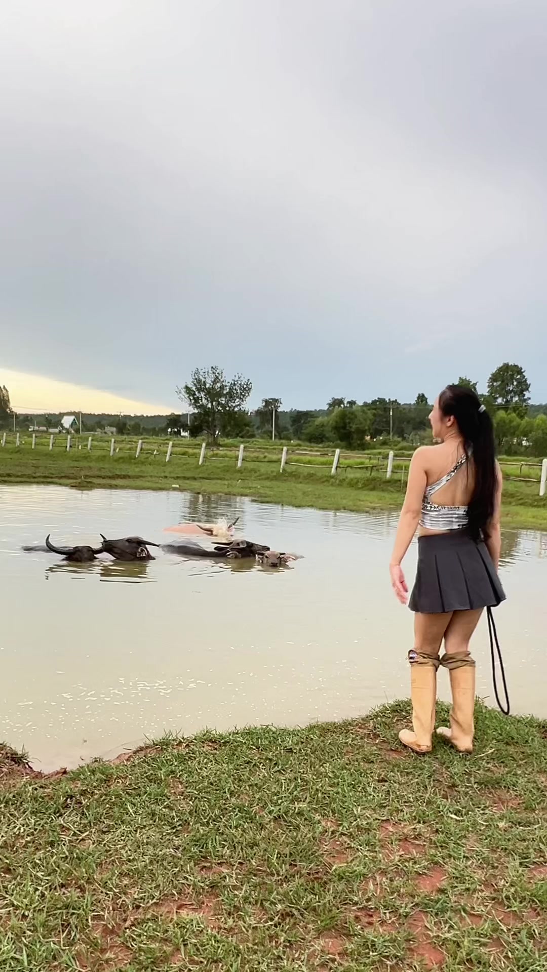 @AA Aranya Farm
