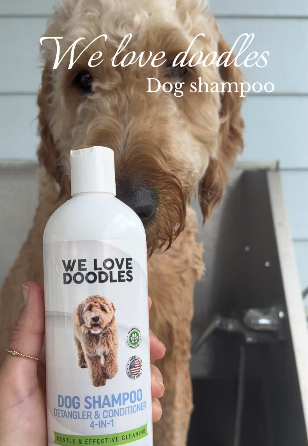 @Life.of.Penny Poo