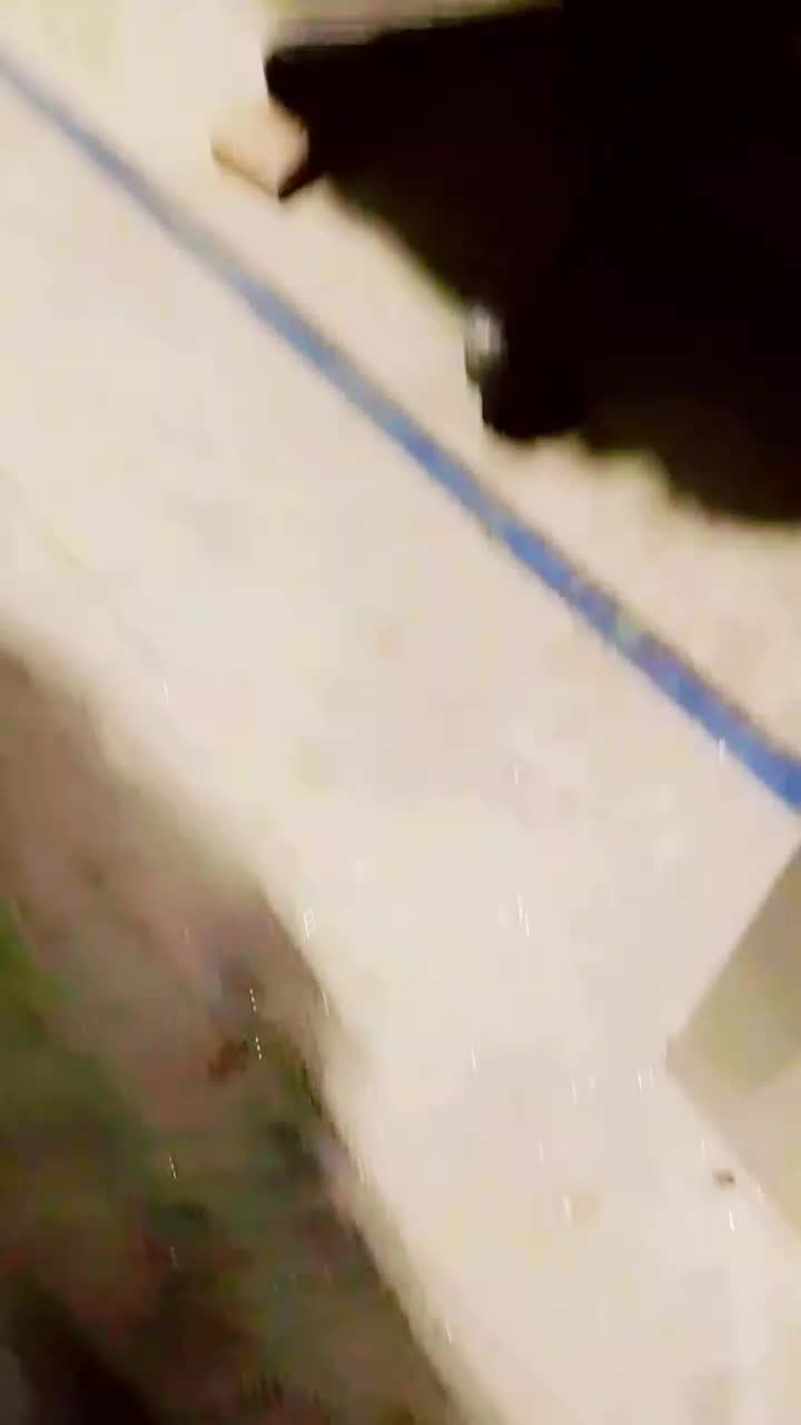 @🤹&zwj;♂️🅰️𝐋𝐈∘⏤🖤☜.