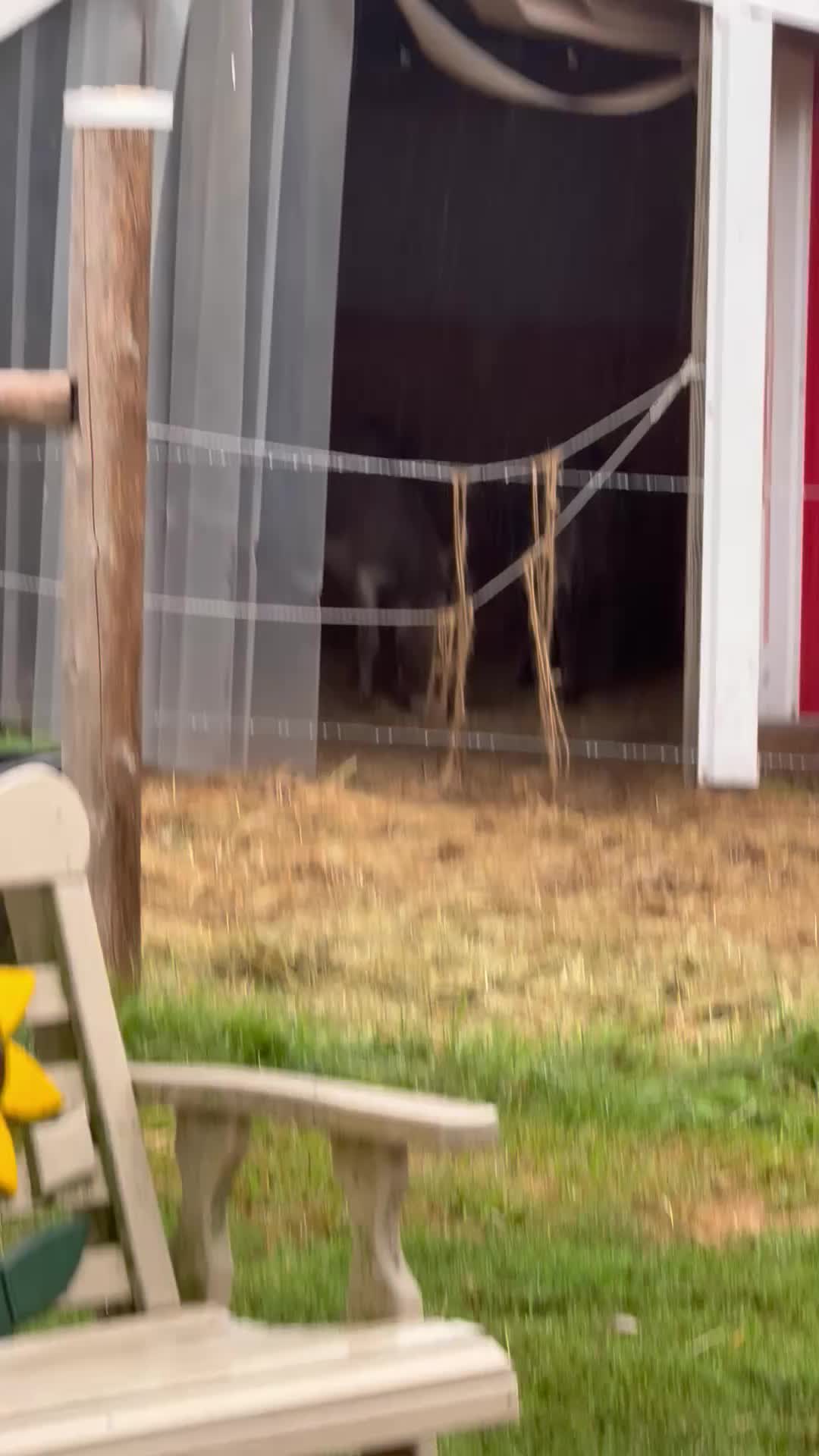 @Safe Place Pastures, Inc.