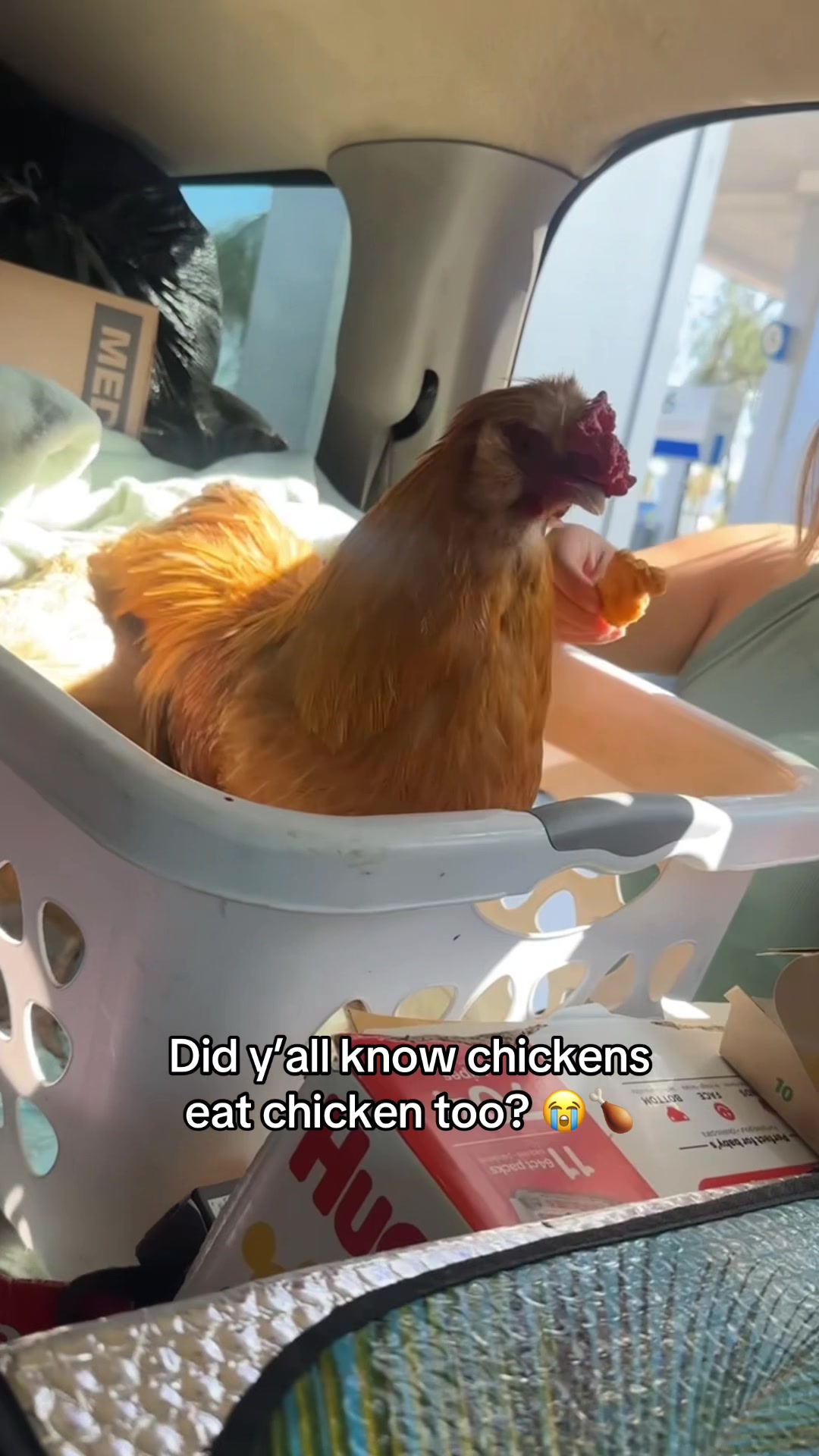 @Jo