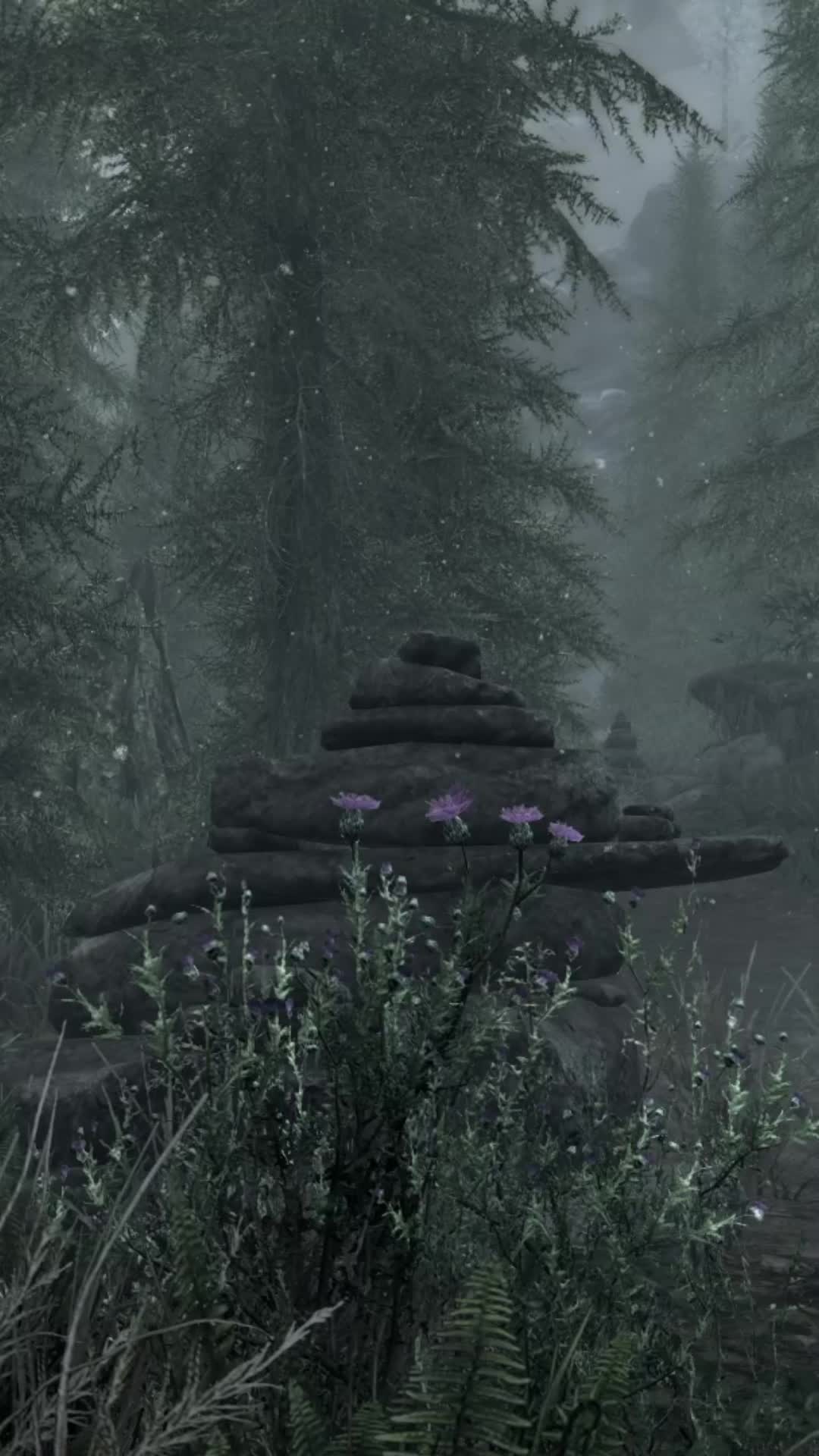@Skyrim_ASMR