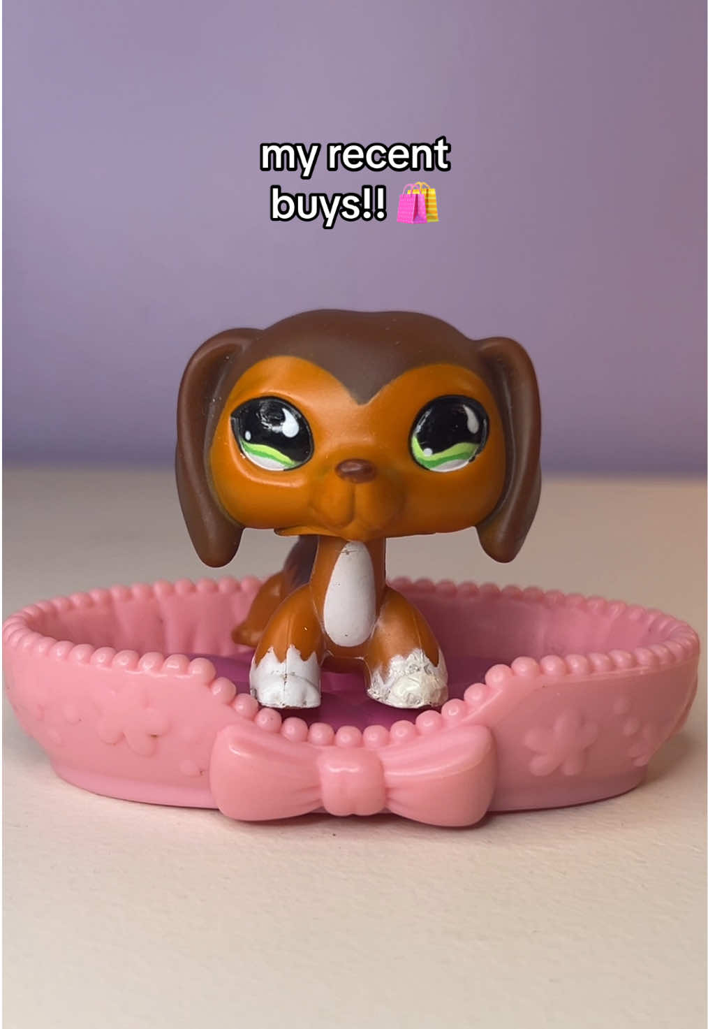 @lpslydsss