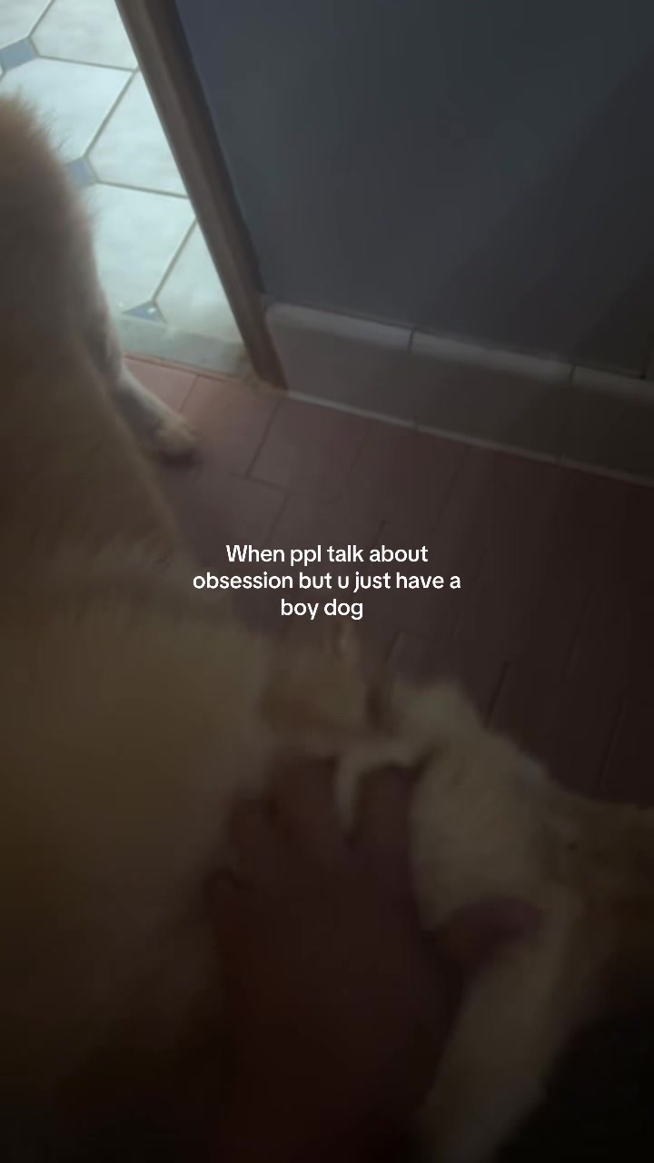 @Itsaureliaaa