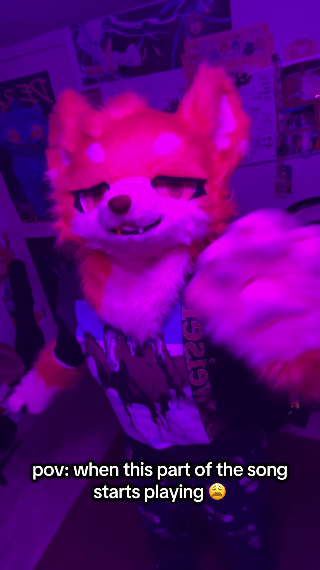 @Tenko🐾