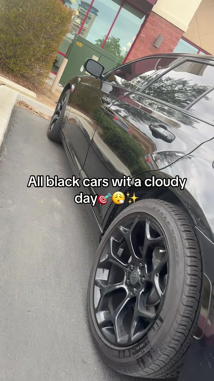 @thepplstransportation