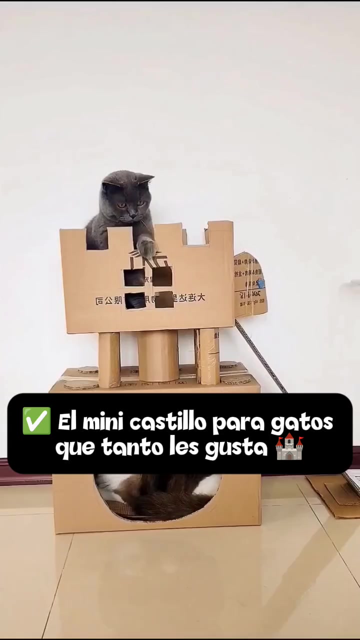 @Todo Mascotas 🐾🎓