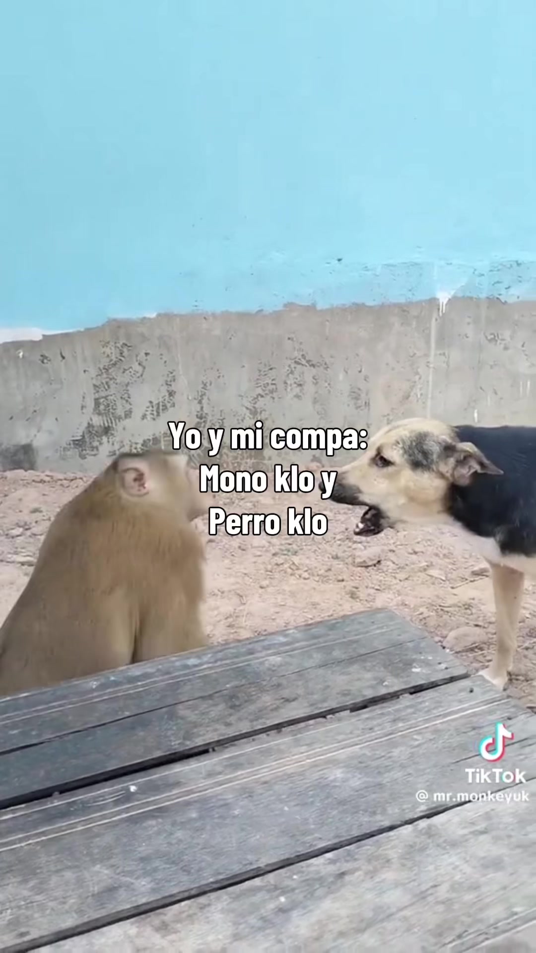 @paltanekee