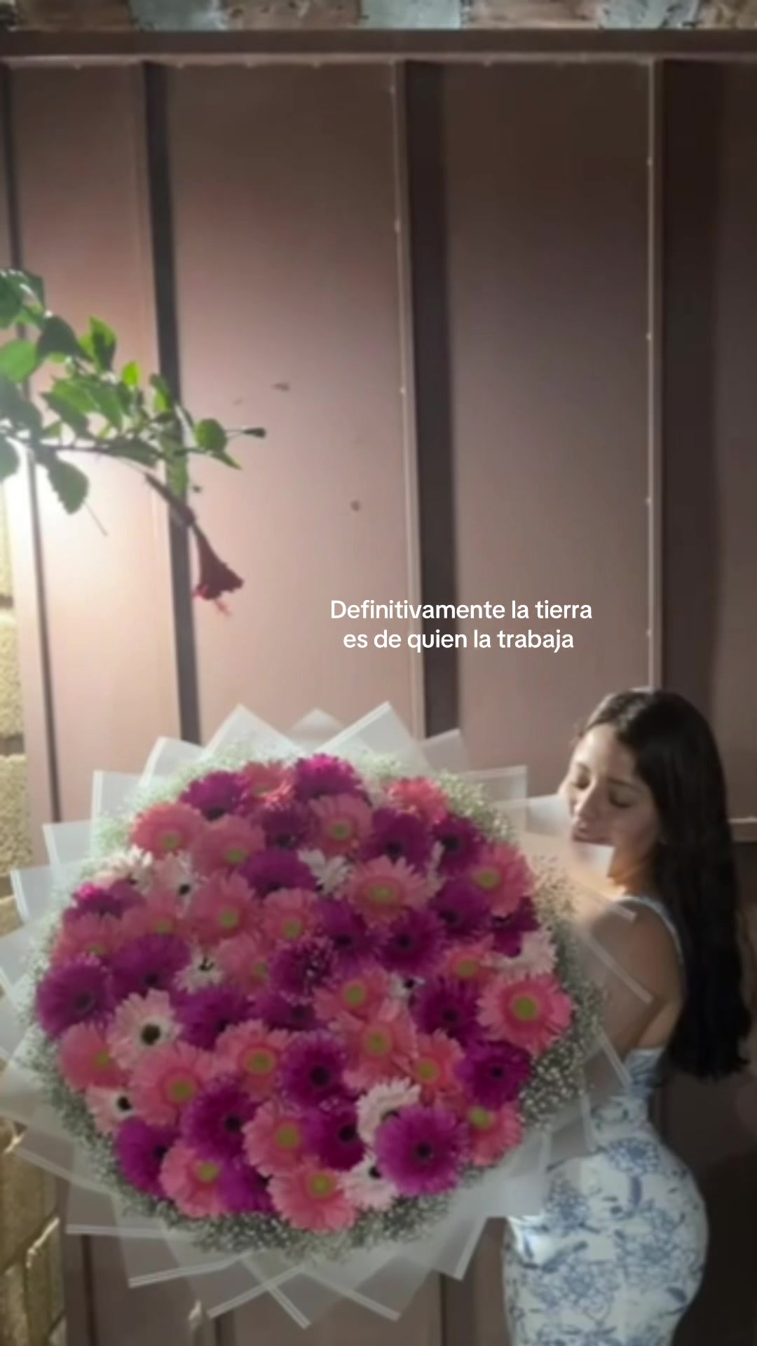 @Jaquie