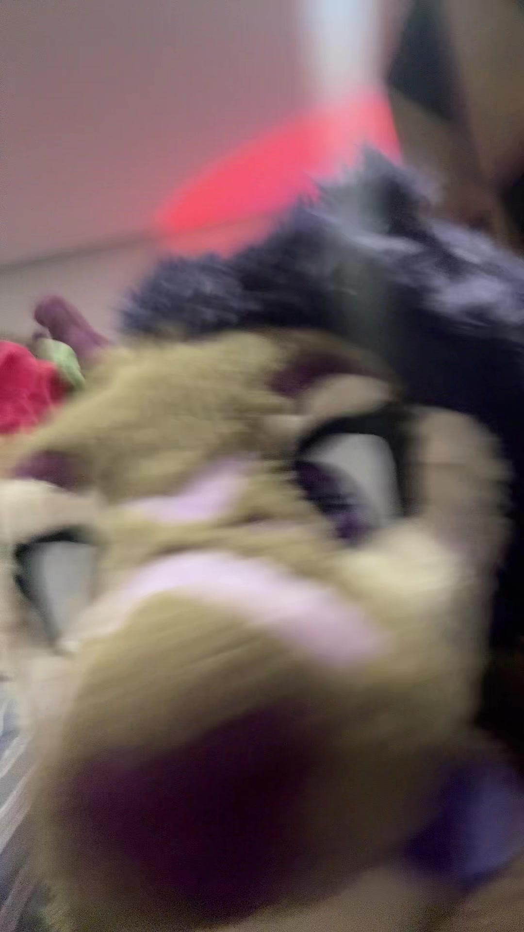 @Riley :3