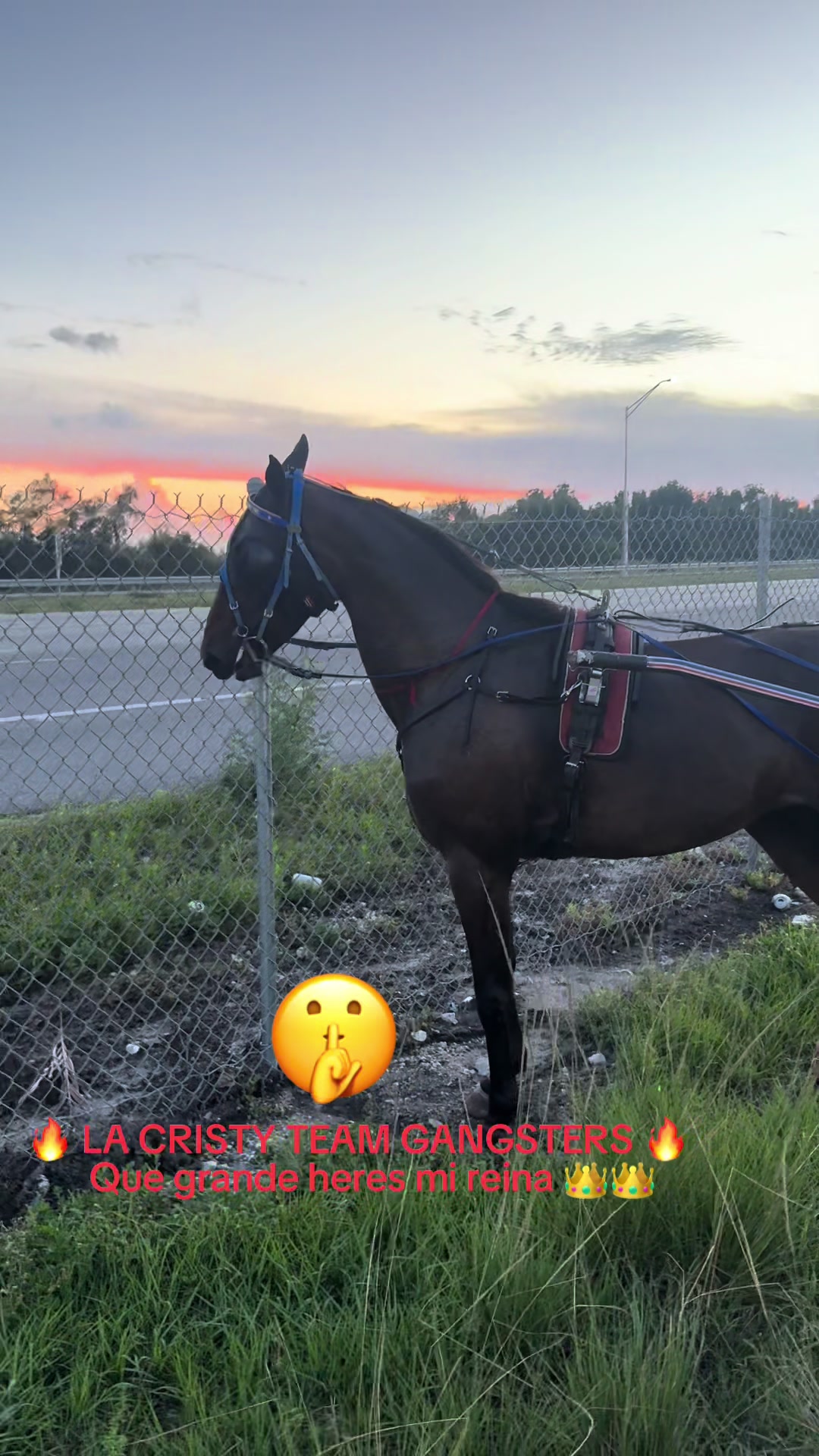 @🔥🔥❤️EL FEO ❤️🔥🔥