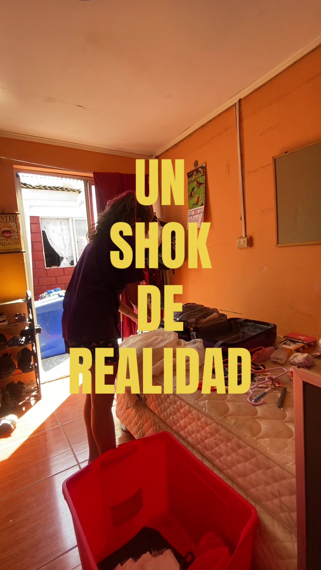 @La Coleccionista De Ataduras