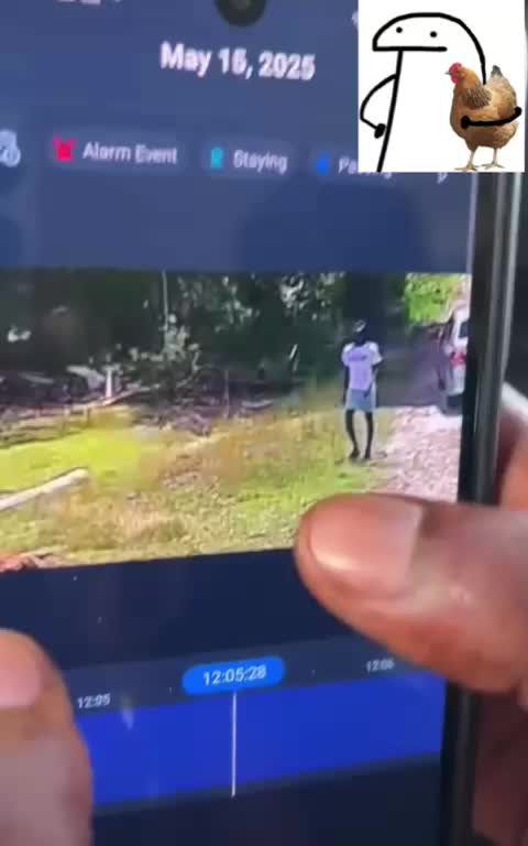 @Fully_Bajan246