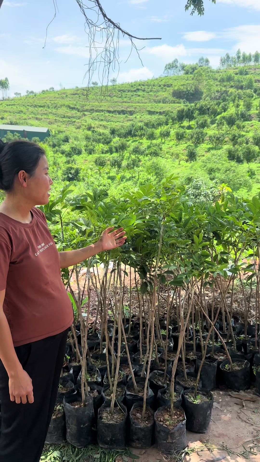 @Nh&agrave; Vườn Vũ Mai