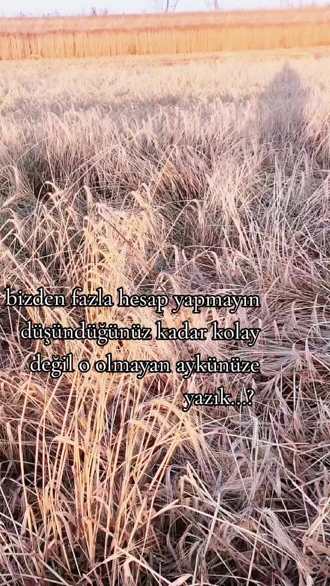 @arap çoçuğu