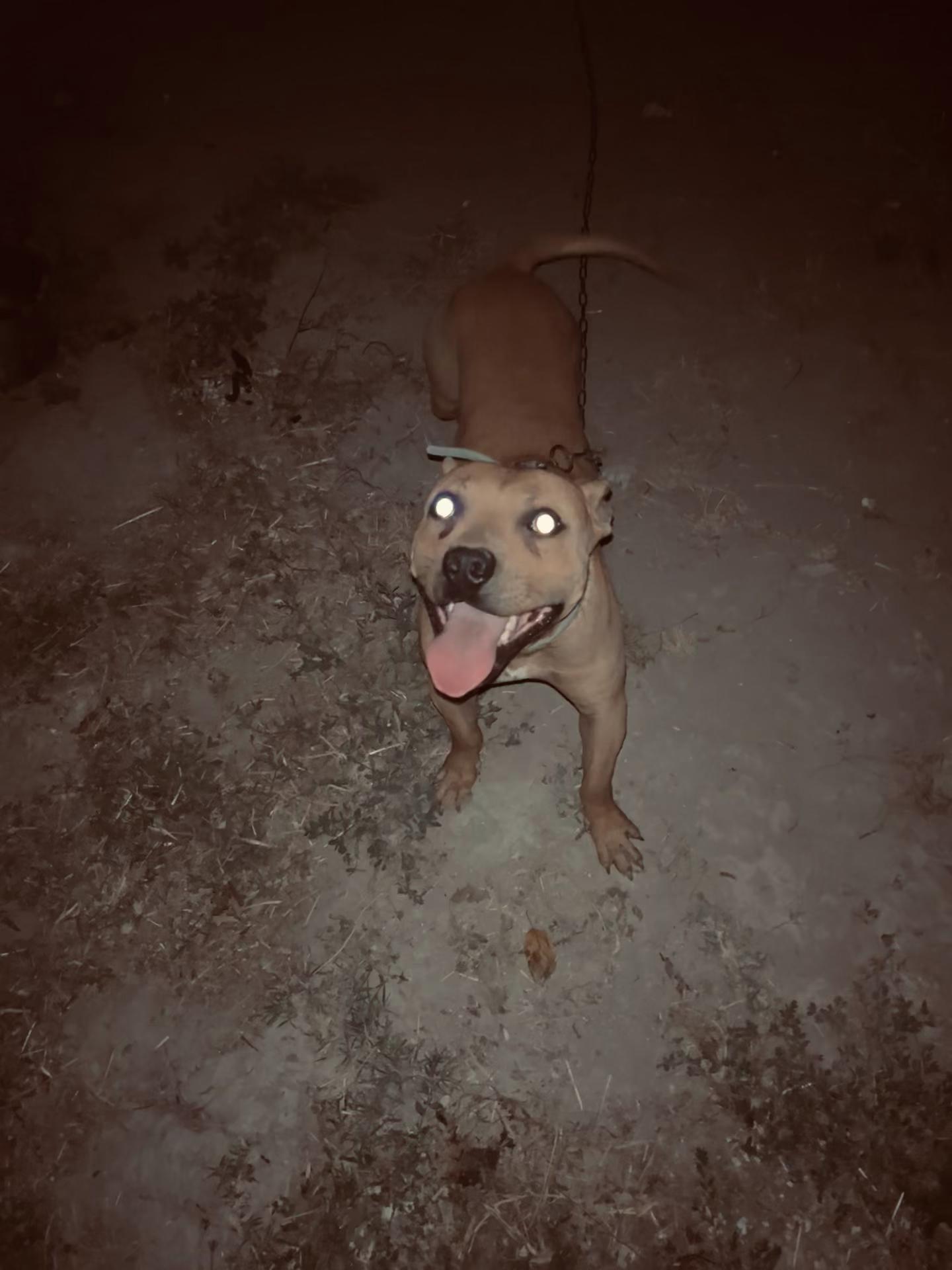 @Joker_pit8