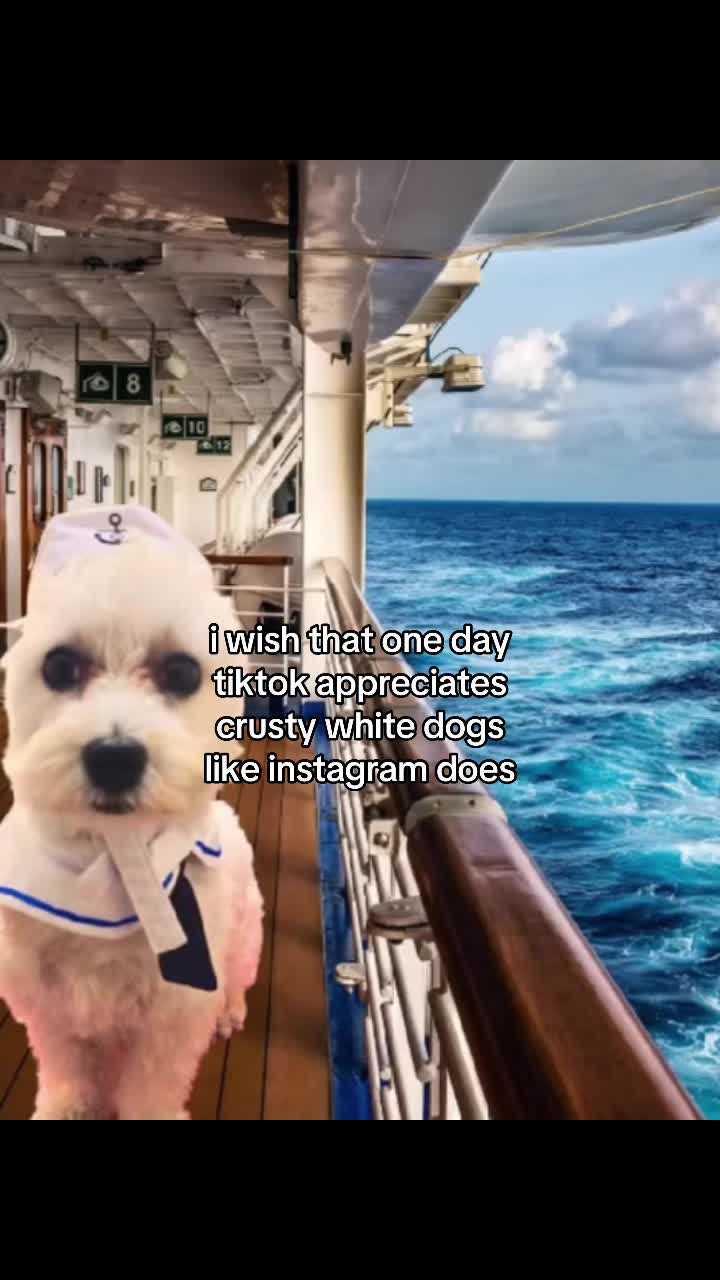 @dumbchauffeur83