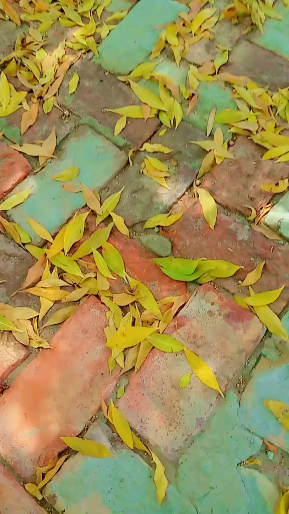 @Tanveer 0055