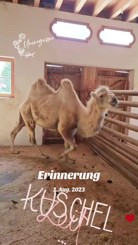 @❤️Janet,Teddy und Blümchen❤️