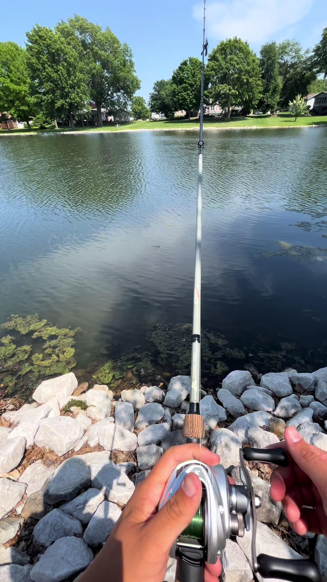 @Fish O’clock