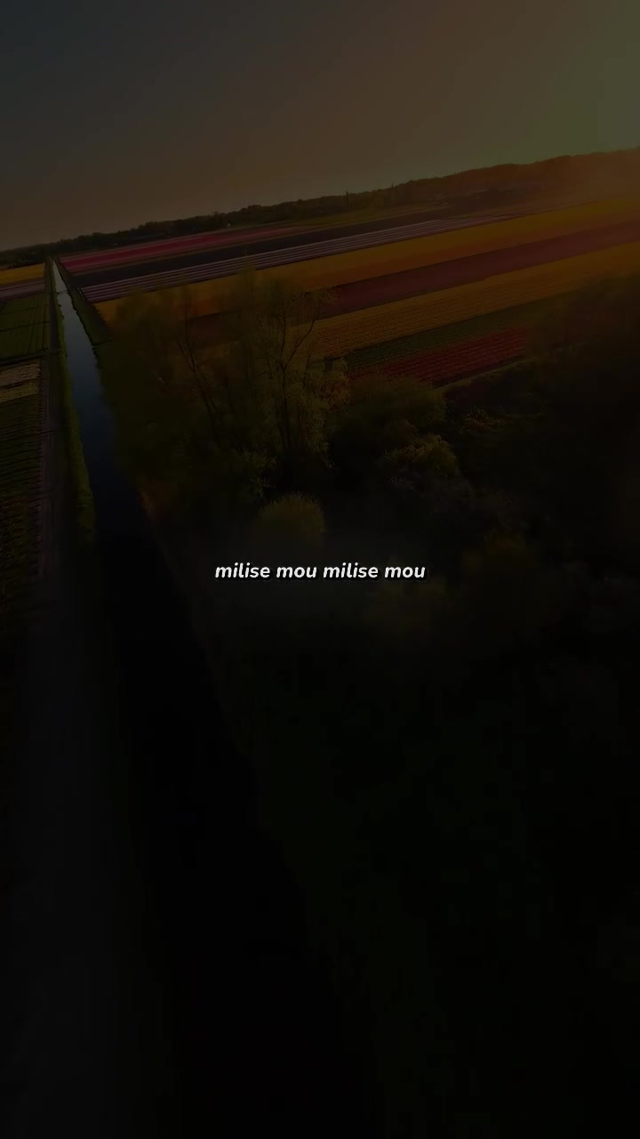 @𝗱𝗺𝗻𝗹𝘆𝗿𝗶𝗰𝘀