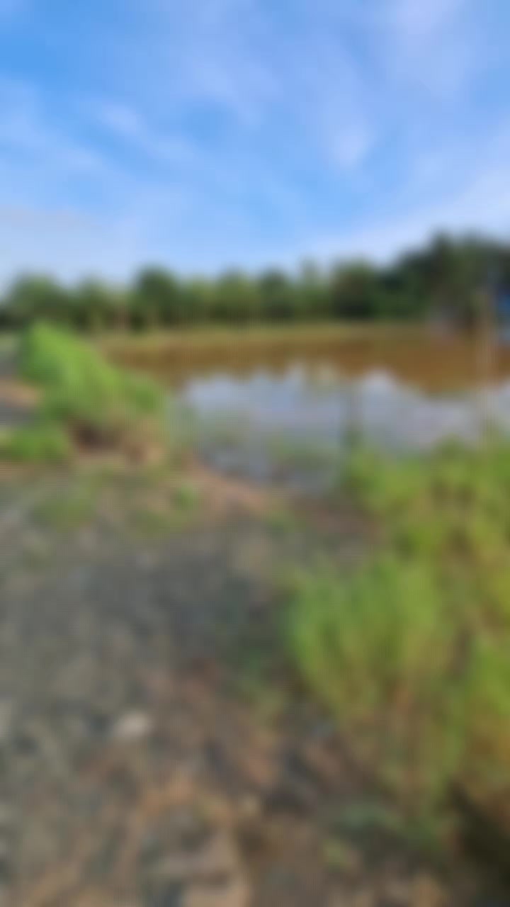 @TungFishing
