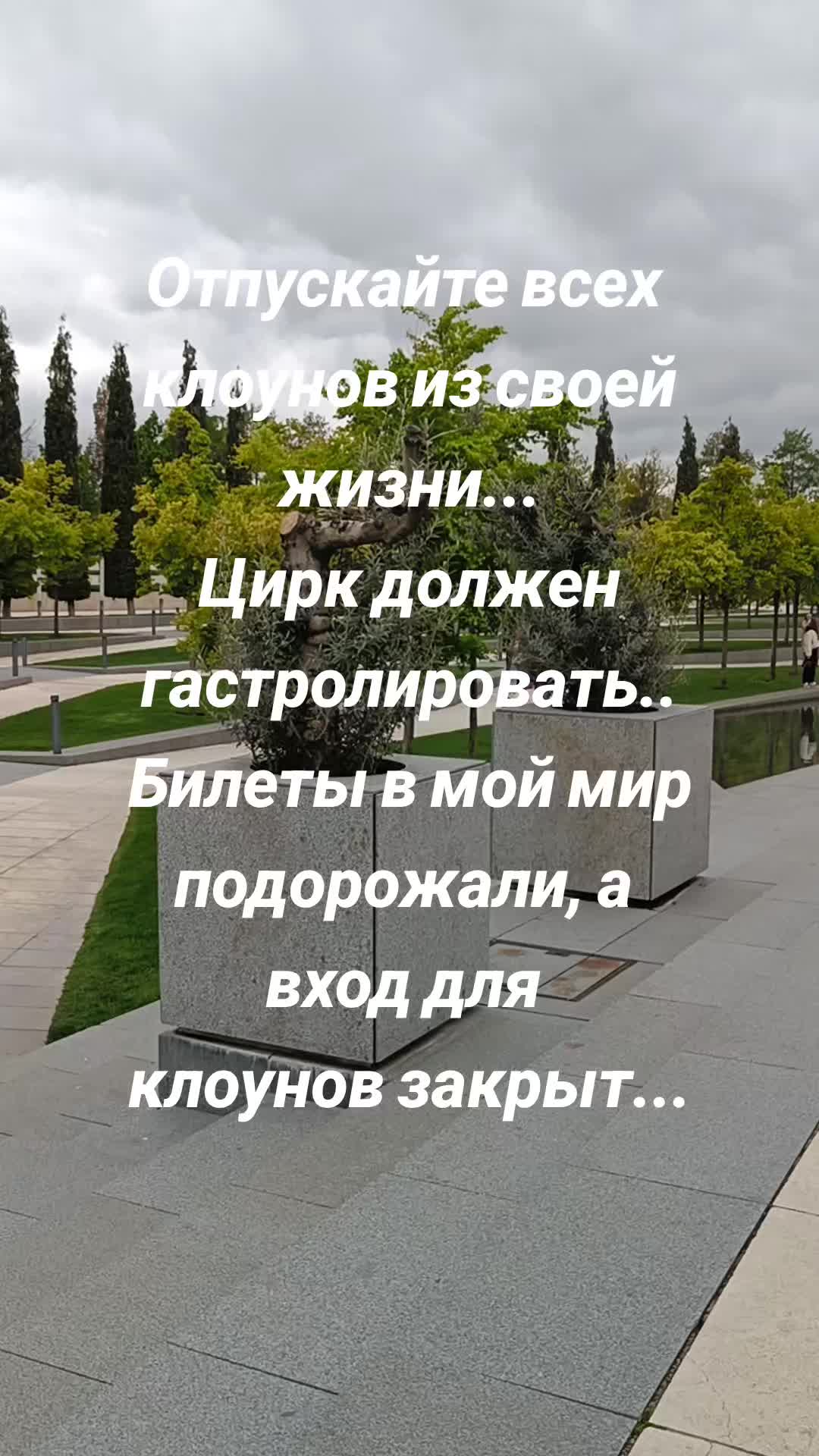 @yanozka