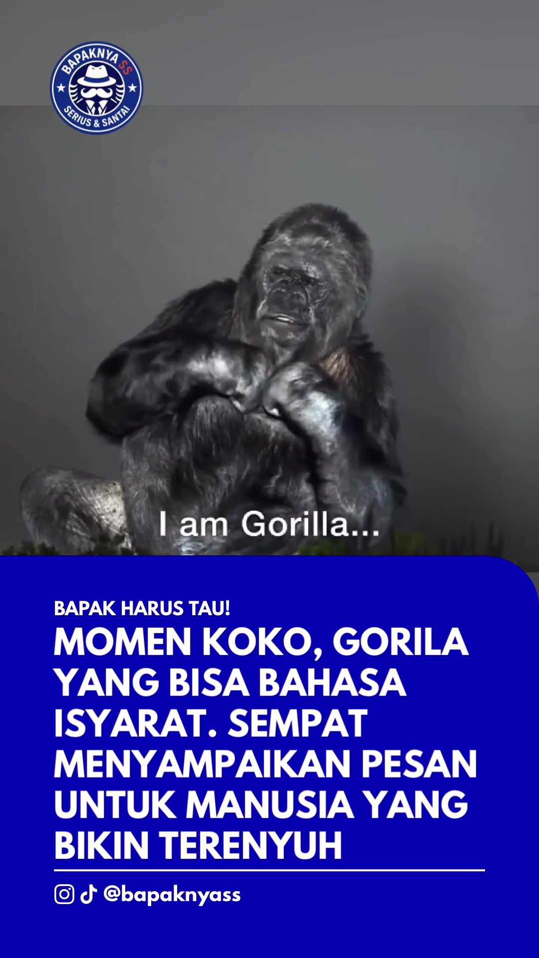 @Bapaknya Serius dan seru